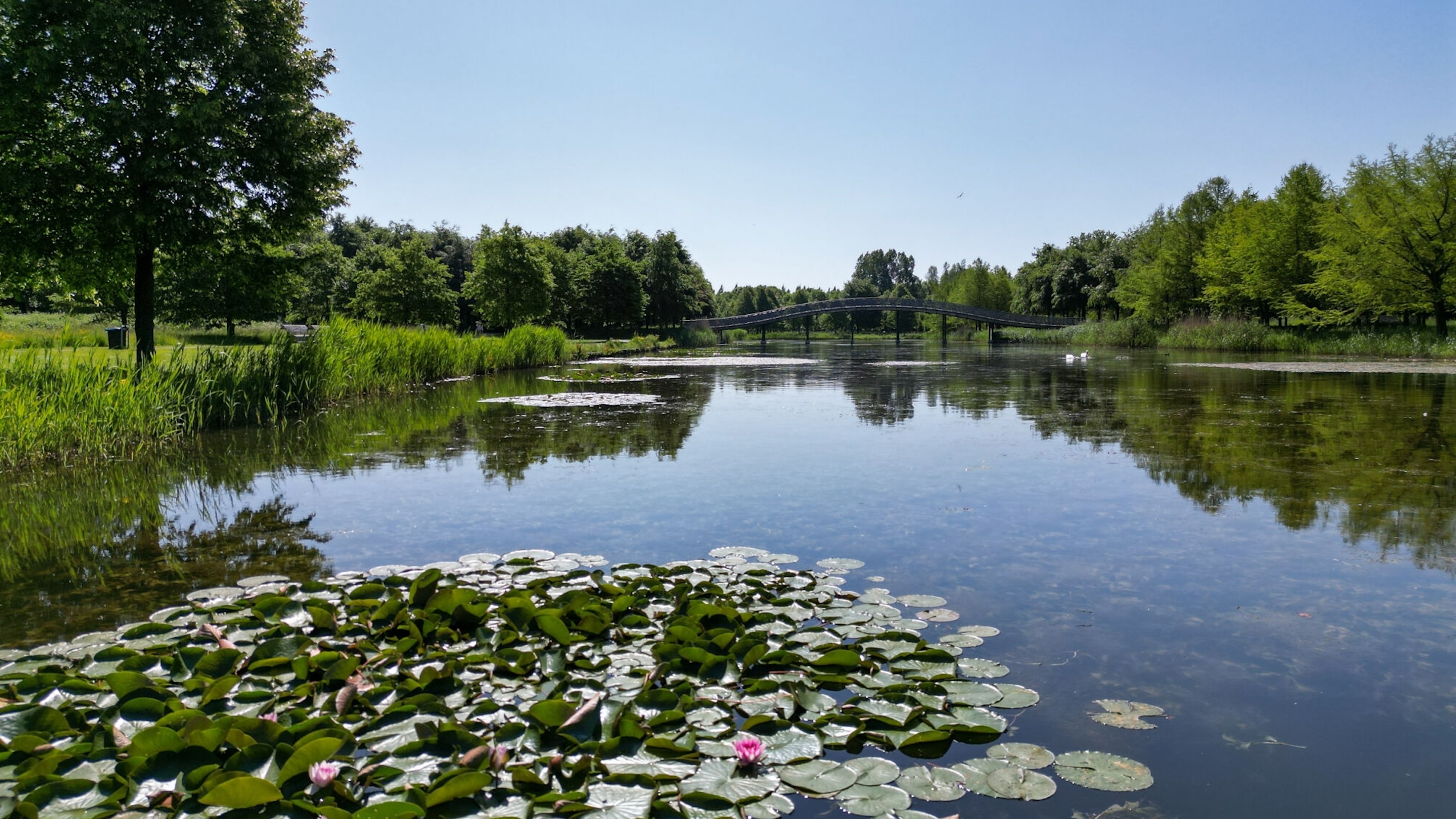 Maximapark Utrecht waterkwaliteit